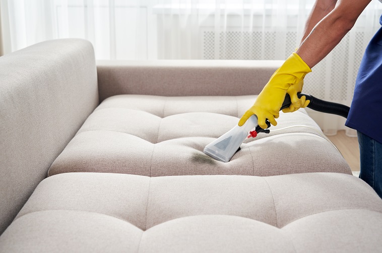 Dry cleaning worker removing dirt from sofa indoors